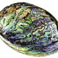 Седеф
