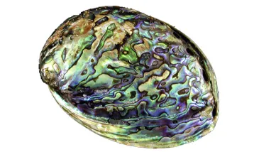 Седеф