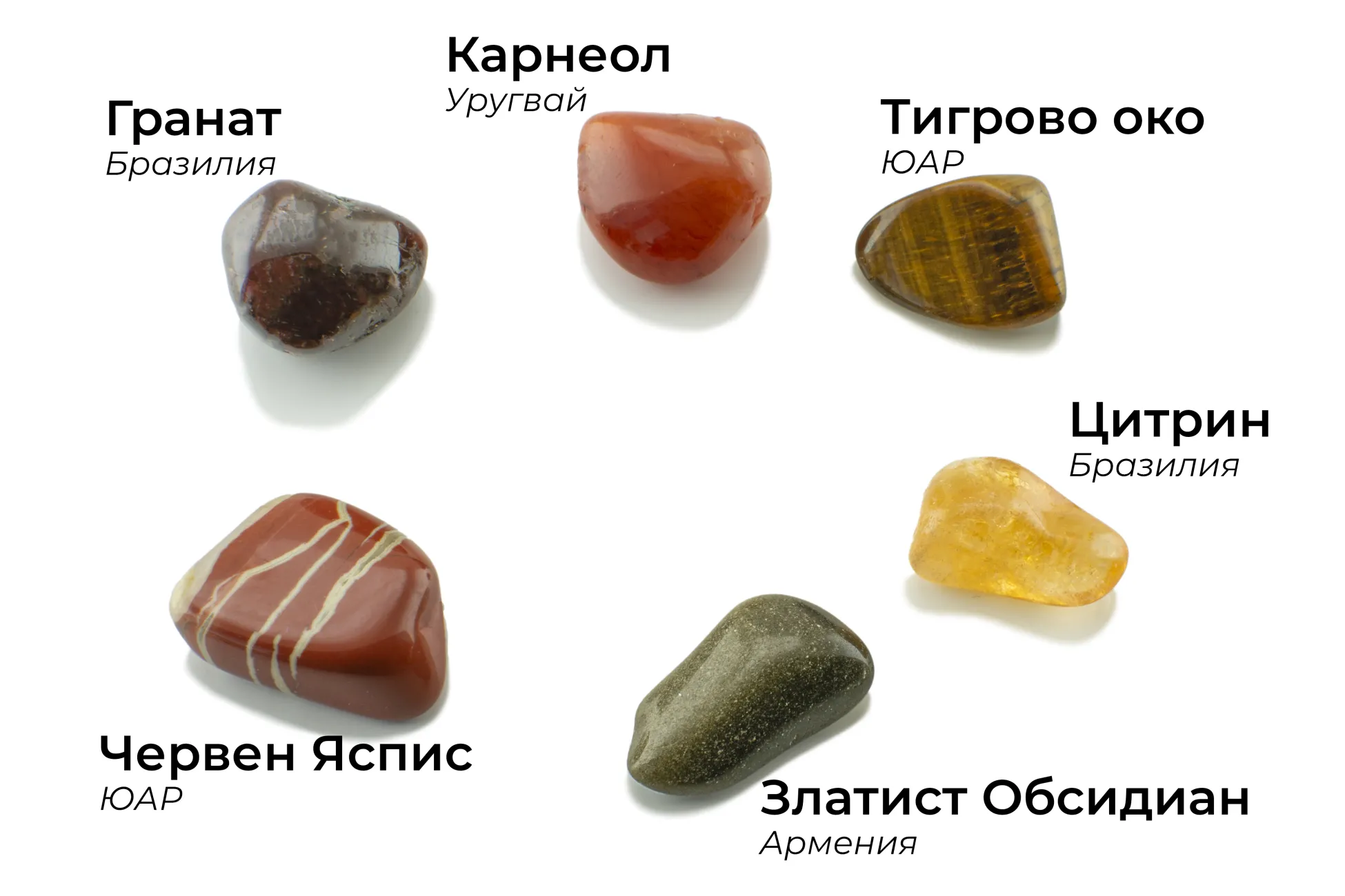 Зодия Лъв